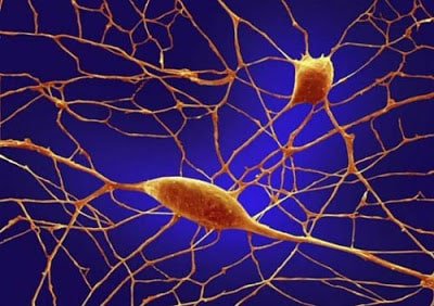 Tổng quan về chất điện giải trong cơ thể Tổng quan về chất điện giải trong cơ thể