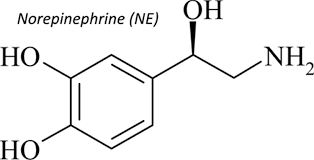 Norepinephrine