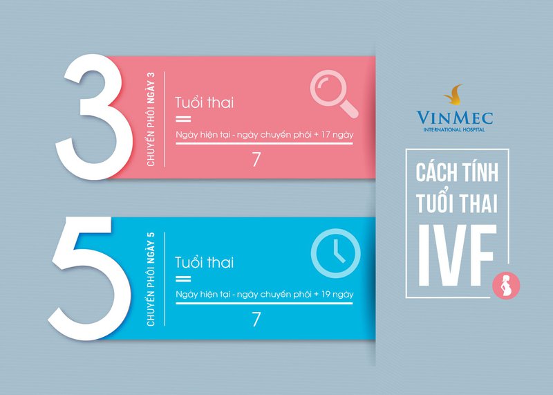 Cách tính tuổi thai khi chuyển phôi ngày 5