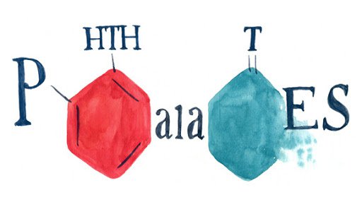 Phthalates