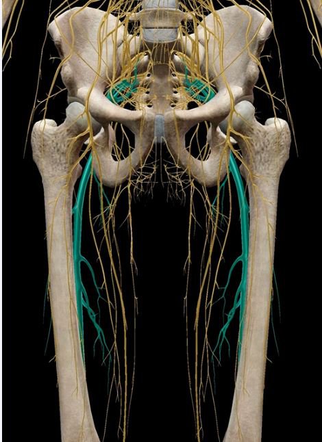 Đặt catheter thần kinh đùi giảm đau sau mổ Đặt catheter thần kinh đùi giảm đau sau mổ