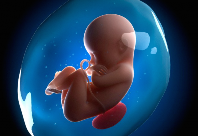 Đánh giá nước ối bằng siêu âm