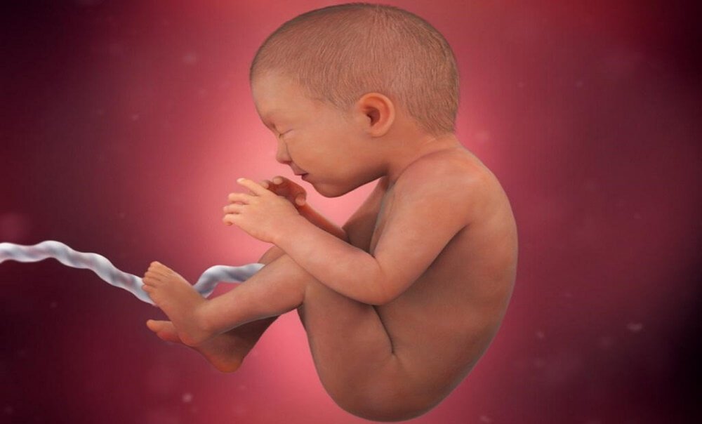 Siêu âm đánh giá sự rối loạn tăng trưởng của thai nhi Siêu âm đánh giá sự rối loạn tăng trưởng của thai nhi