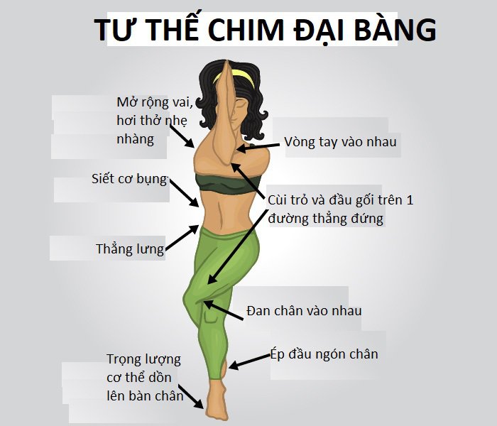 Tư thế chim đại bàng trong yoga