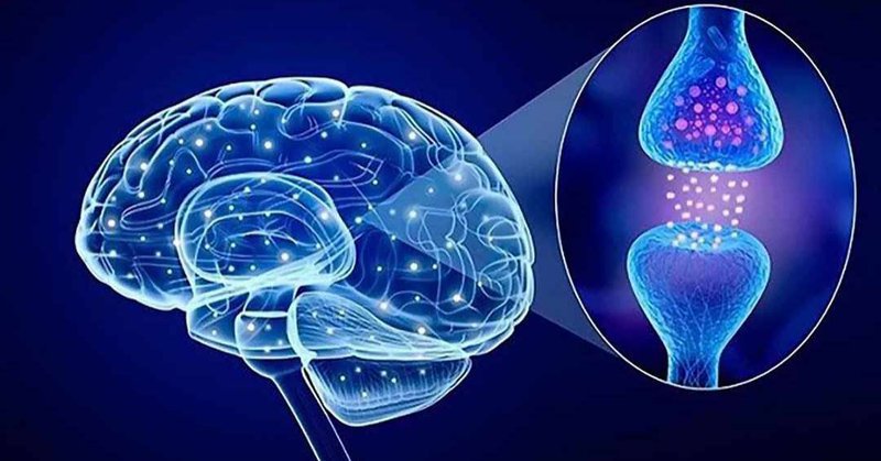 Hội chứng Serotonin do thuốc và xử lý Hội chứng Serotonin do thuốc và xử lý