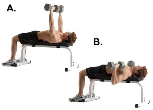 13 bài tập săn chắc ngực (có và không có thiết bị) 13 bài tập săn chắc ngực (có và không có thiết bị)