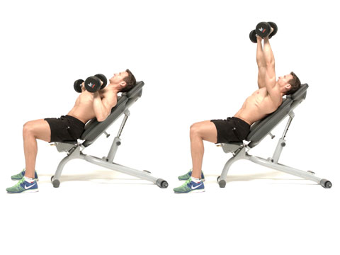 Incline dumbbell chest press