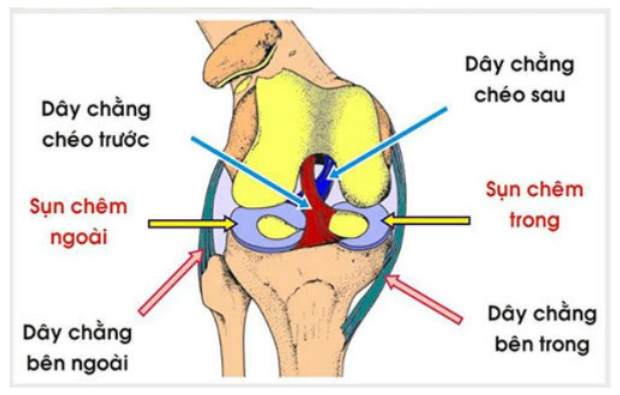 Sự lỏng lẻo dây chằng ở đầu gối, vai, mắt cá chân, cổ Sự lỏng lẻo dây chằng ở đầu gối, vai, mắt cá chân, cổ