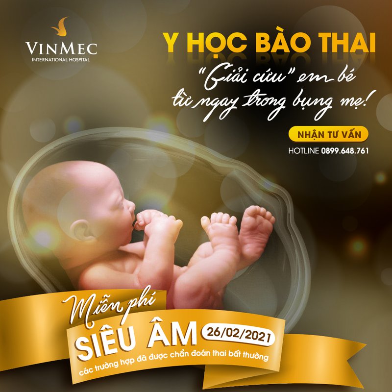 y-hoc-bao-thai