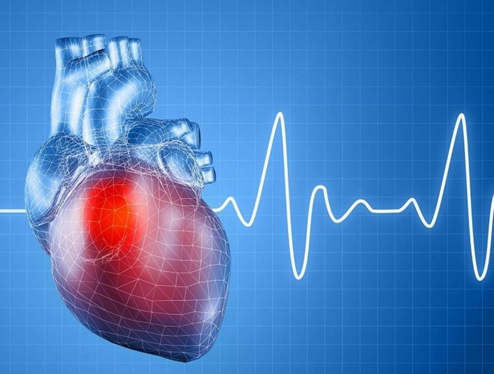 Nhịp tim của bạn đang nói gì với bạn? Nhịp tim của bạn đang nói gì với bạn?