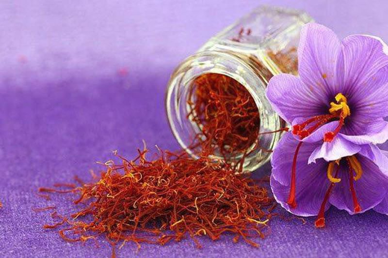 Nhụy hoa nghệ tây có ảnh hưởng xấu đến trẻ 4,5 tháng không?