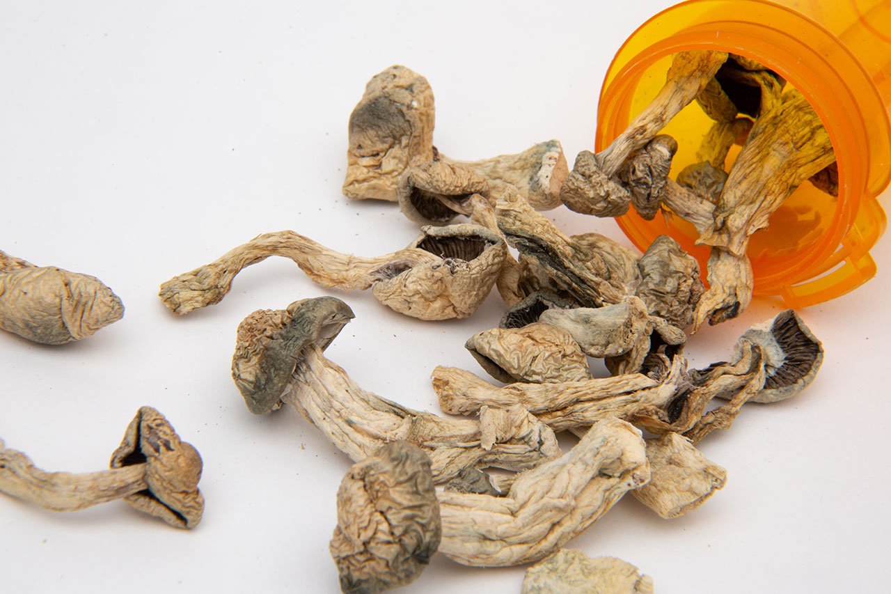 Magic Mushroom Meds shows promise in depressed cancer patients Vinmec