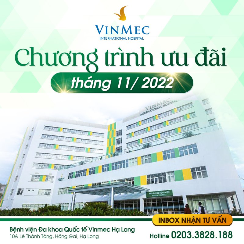 CTKM VMHL T11/2022